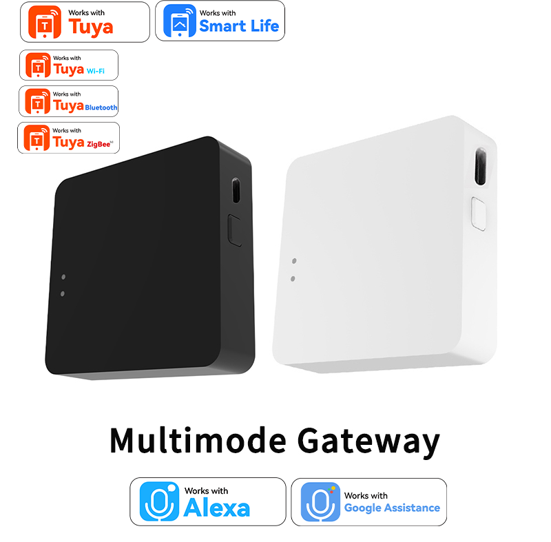 Work with Tuya Smart Zigbee+ B - Zigbee Coordinator Stick recensione e prezzo