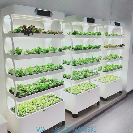 Hydroponic Automated Grow Syst - Zigbee Coordinator Stick recensione e prezzo