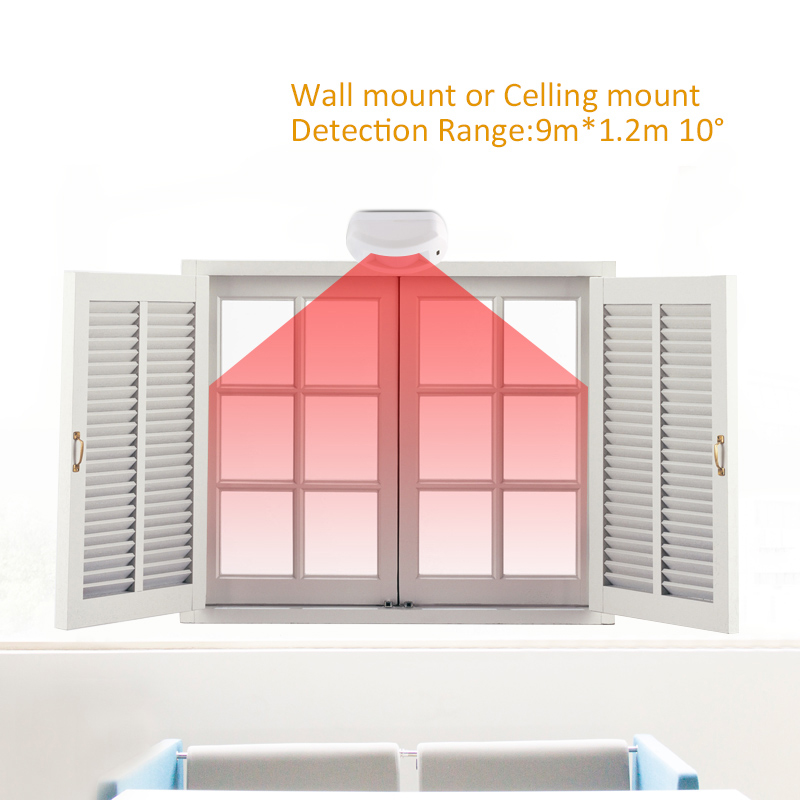 Professional Indoor DC12V Wire - Motion Sensor Pir Wired recensione e prezzo