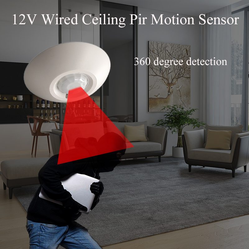 12V Wired PIR Motion Sensor Ce - Motion Sensor Pir Wired recensione e prezzo
