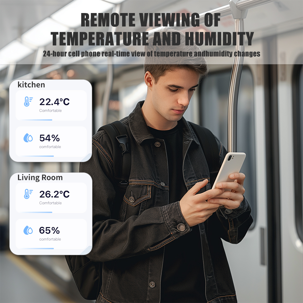 Tuya WiFi Temperature and Humi - Home Automation Ideas recensione e prezzo