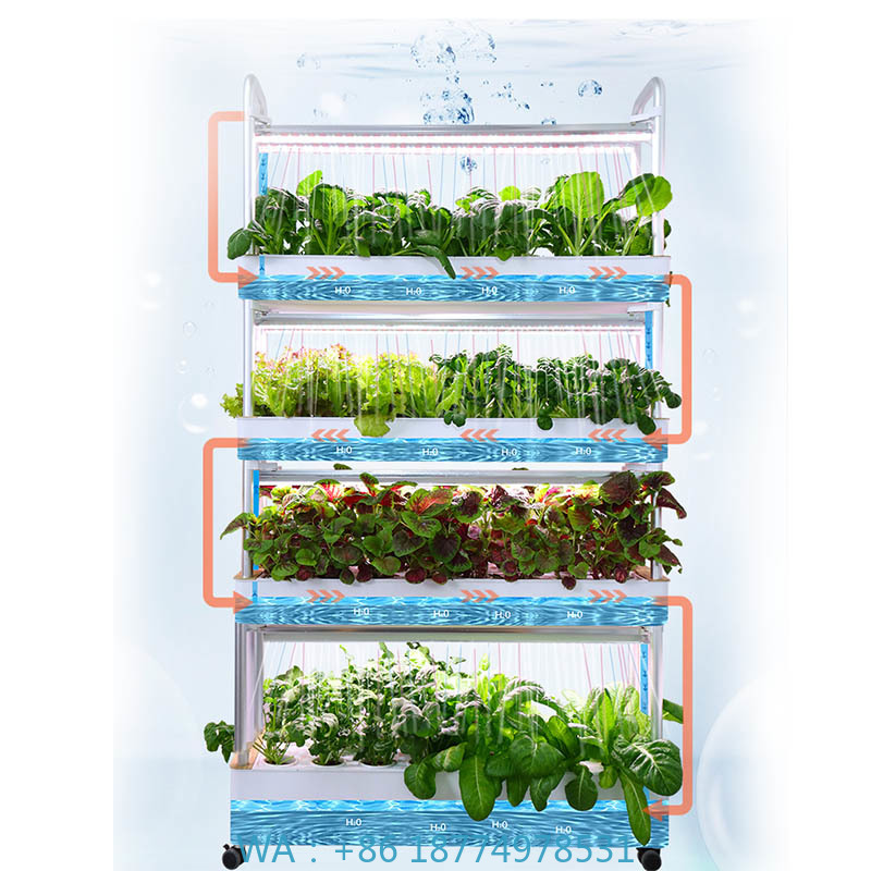 ydroponic Planting System Smar - Diy Automation recensione e prezzo