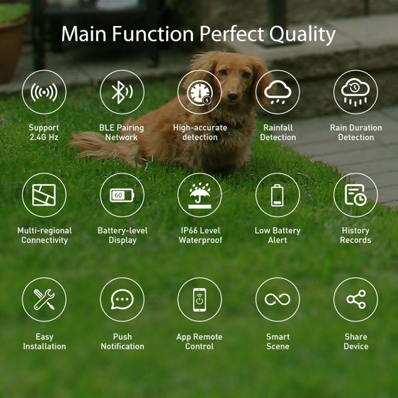 WiFi Rain Sensor Rainfall Dura - Home Automation Ideas recensione e prezzo
