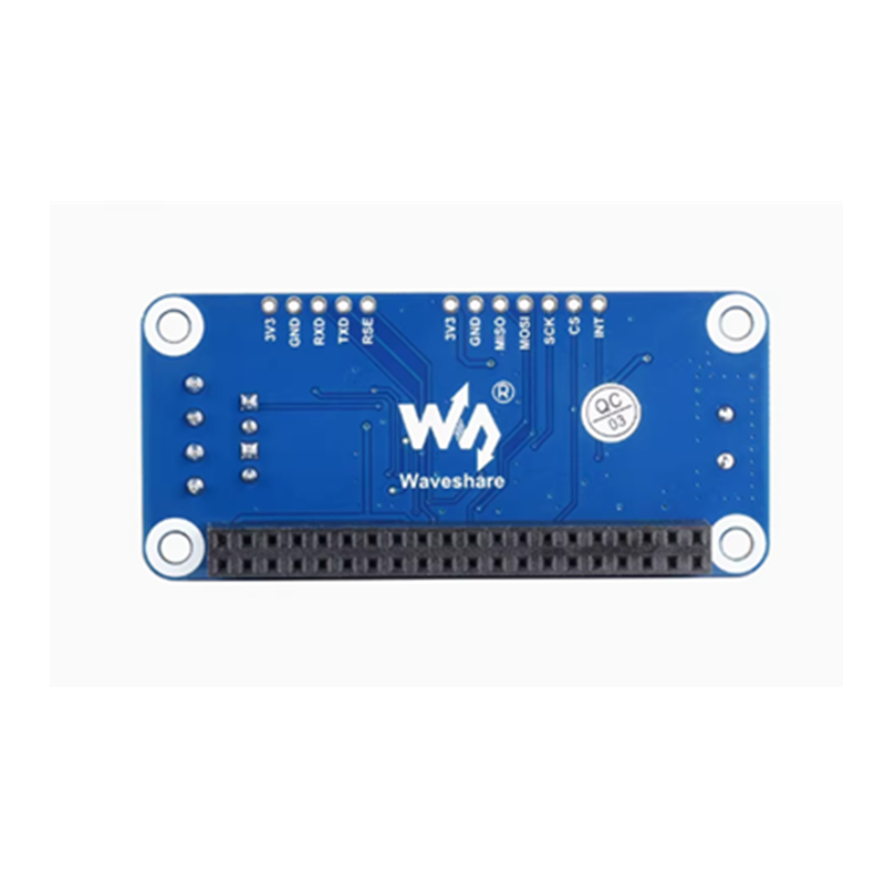 Raspberry Pi 4B/3B+/Zero W RS4 - Pi Zero W Board recensione e prezzo