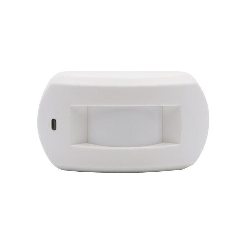 Professional Indoor DC12V Wire - Motion Sensor Pir Wired recensione e prezzo